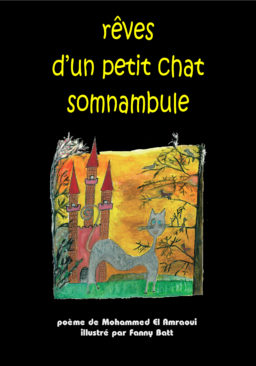 Rêves d’un petit chat somnambule