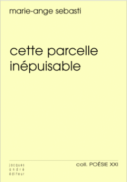 Cette parcelle inépuisable